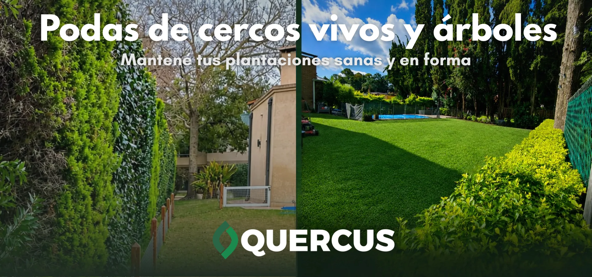 Poda de árboles y cercos vivos realizada por Quercus